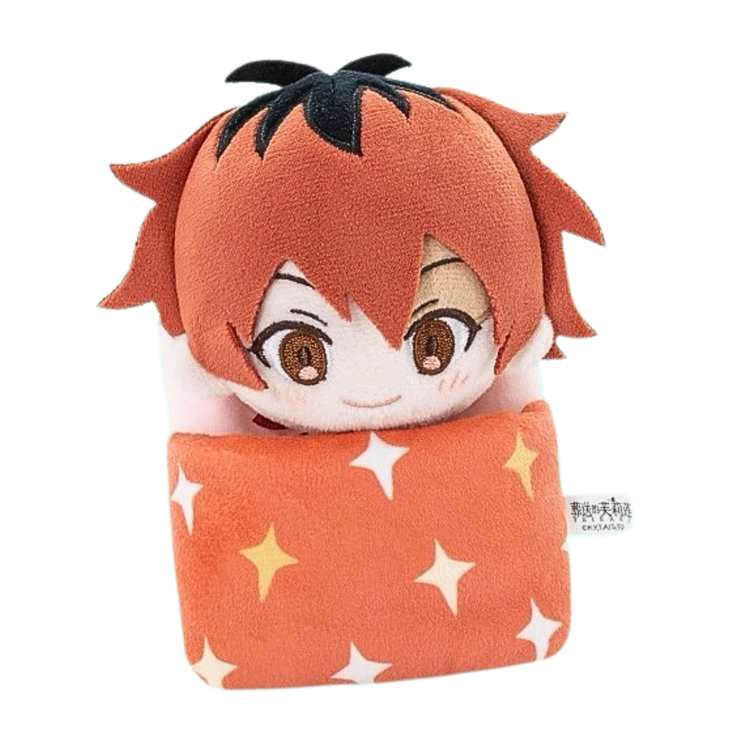 GONG x POP MART - Frieren: Beyond Journey's End Sleepy Series Plush Blind Box